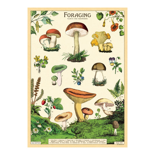 Cavallini Wrap Sheet 20" x 28" - Forage