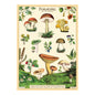 Cavallini Wrap Sheet 20" x 28" - Forage