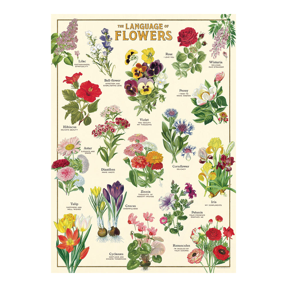 Cavallini Wrap Sheet 20" X 28" - Language of Flowers