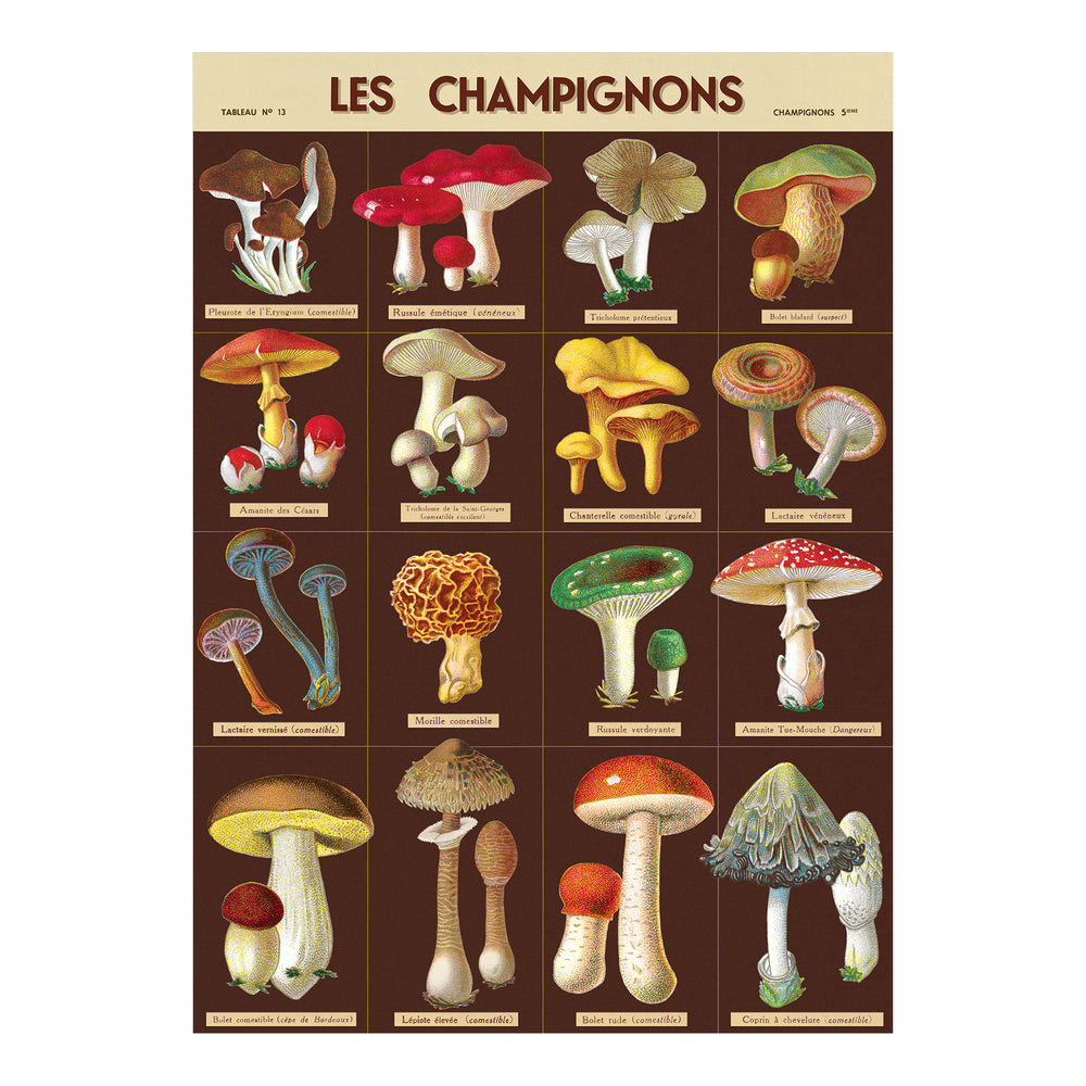 Cavallini Wrap Sheet 20" X 28" - Les Champignons