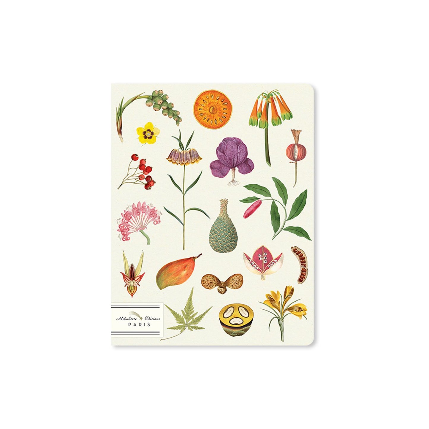 Alibabette lined journal, Les superbes botanical cover, front