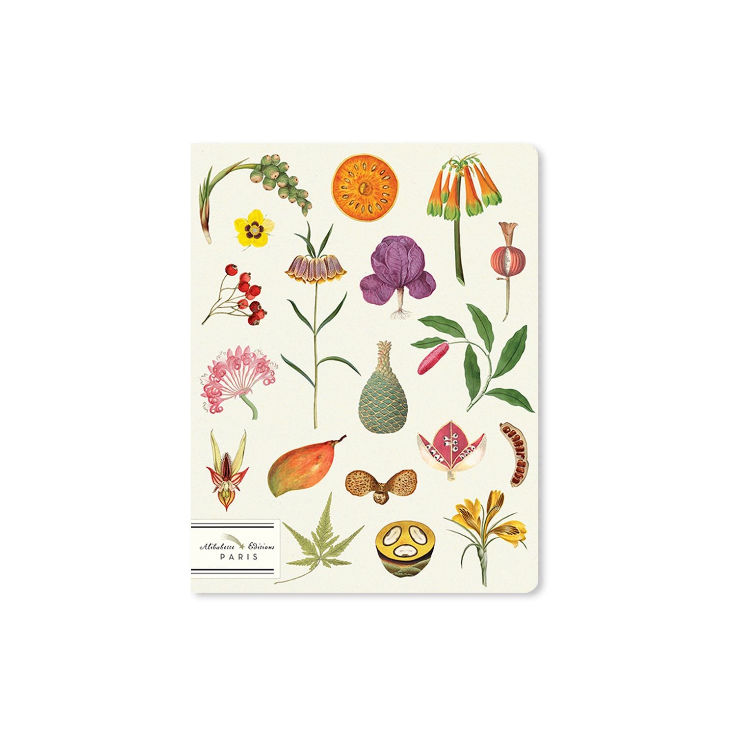 Alibabette lined journal, Les superbes botanical cover, front