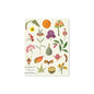 Alibabette lined journal, Les superbes botanical cover, front