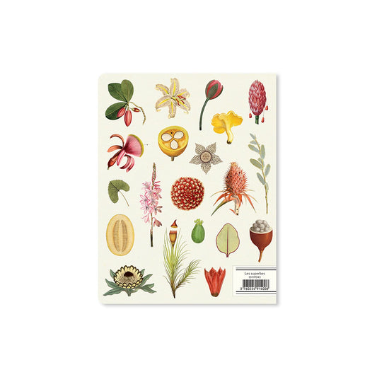 Alibabette lined journal, Les superbes botanical cover, back
