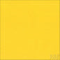 R&F Pigment Sticks