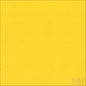 R&F Pigment Sticks 100ml