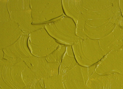 Gamblin Artist's Oil Colors - Brown or Green