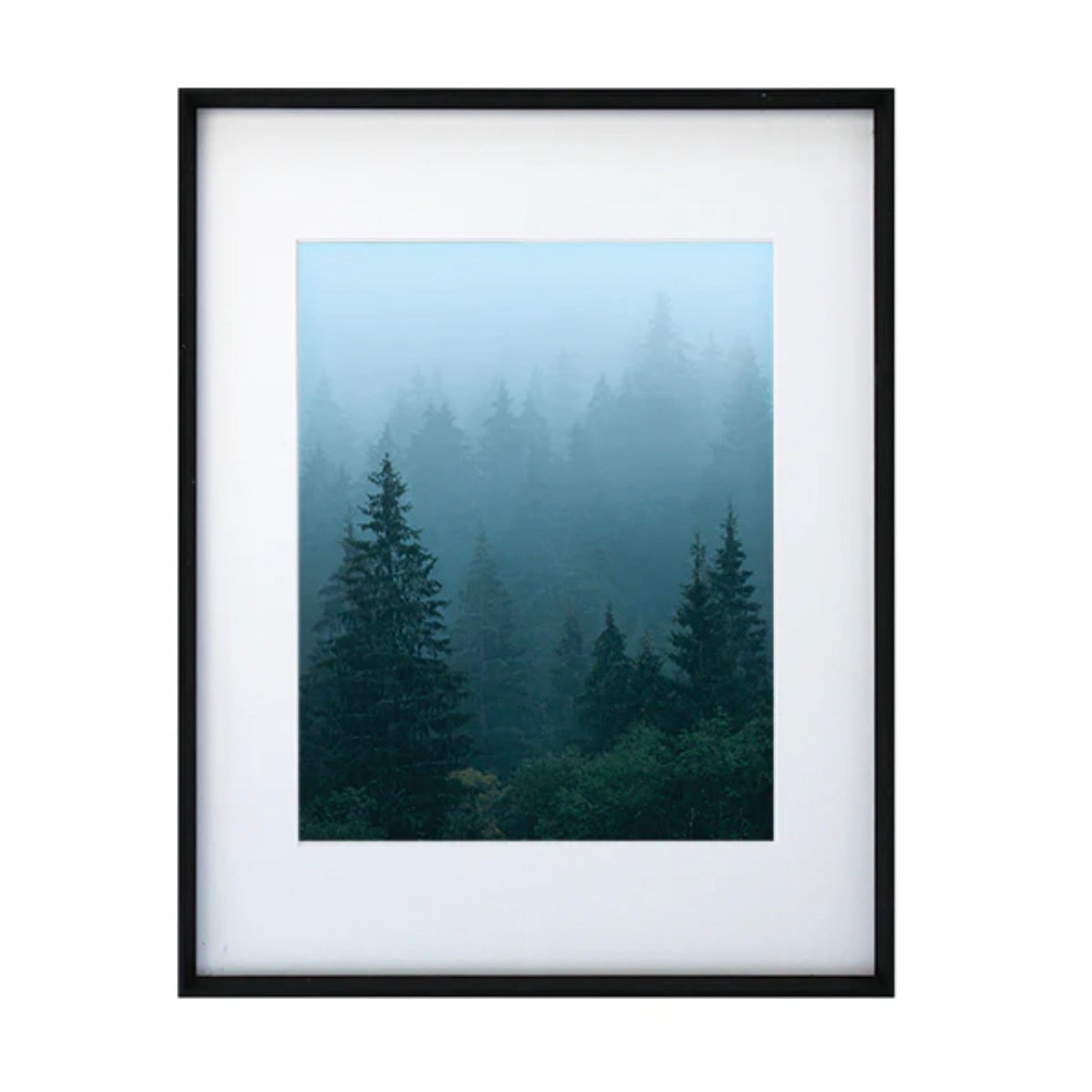 Cypress Frame Gallery Wall - Boulevard (Black)