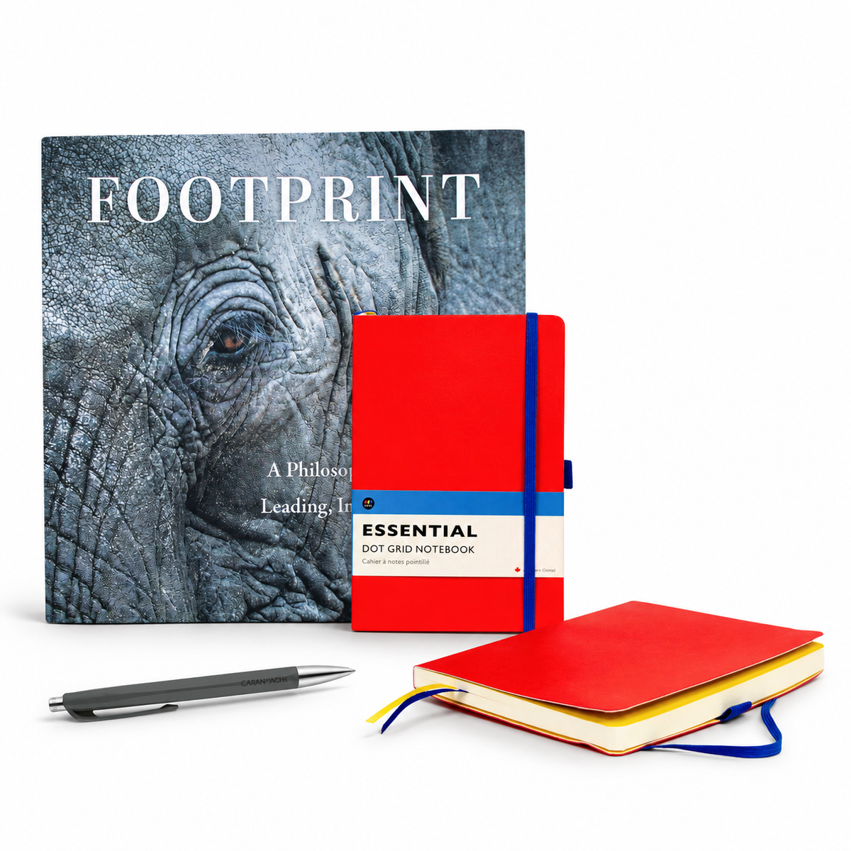 Footprint book with elephant cover, red Essential dot grid notebooks with blue elastic bands, and a grey ballpoint pen