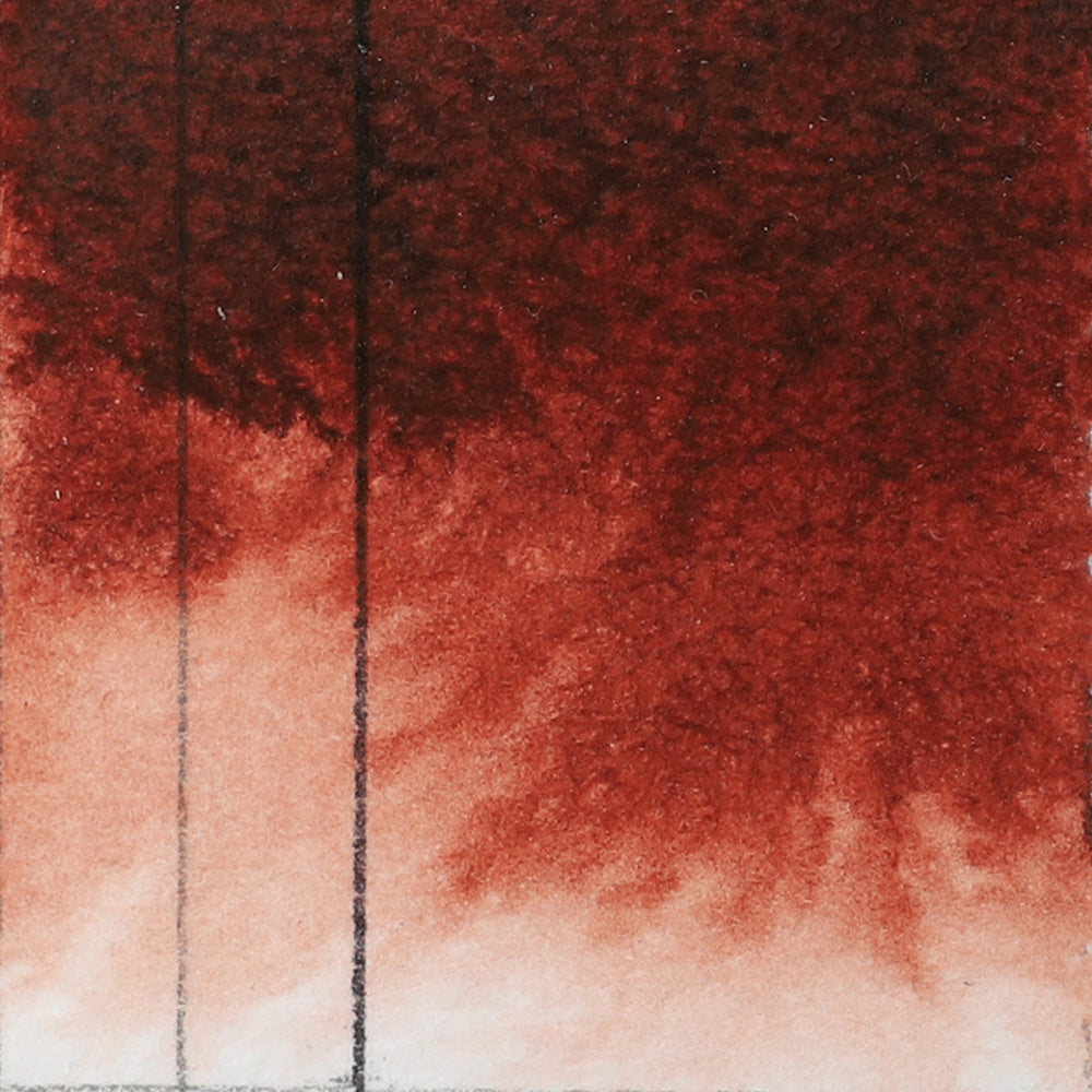 QoR Watercolors