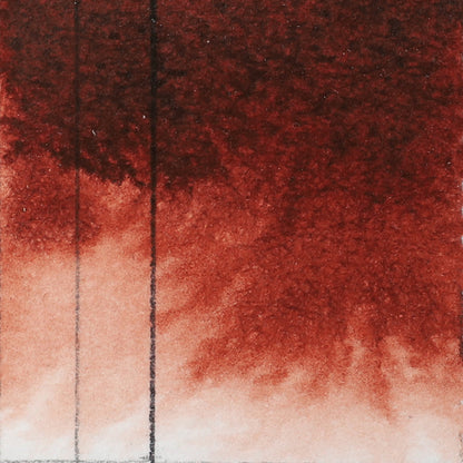 QoR Watercolors
