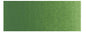 Holbein Artist's Watercolors - Brown or Green