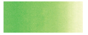 Holbein Artist's Watercolors - Brown or Green