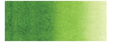 Holbein Artist's Watercolors - Brown or Green