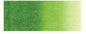 Holbein Artist's Watercolors - Brown or Green
