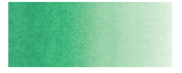 Holbein Artist's Watercolors - Brown or Green