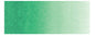 Holbein Artist's Watercolors - Brown or Green