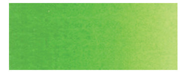 Holbein Artist's Watercolors - Brown or Green