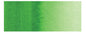 Holbein Artist's Watercolors - Brown or Green