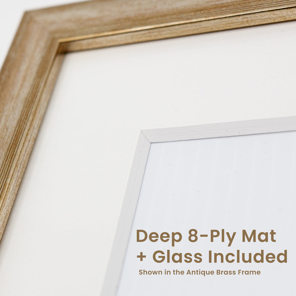 Opus West Coast Wood Frames with Glass - Antique Brass