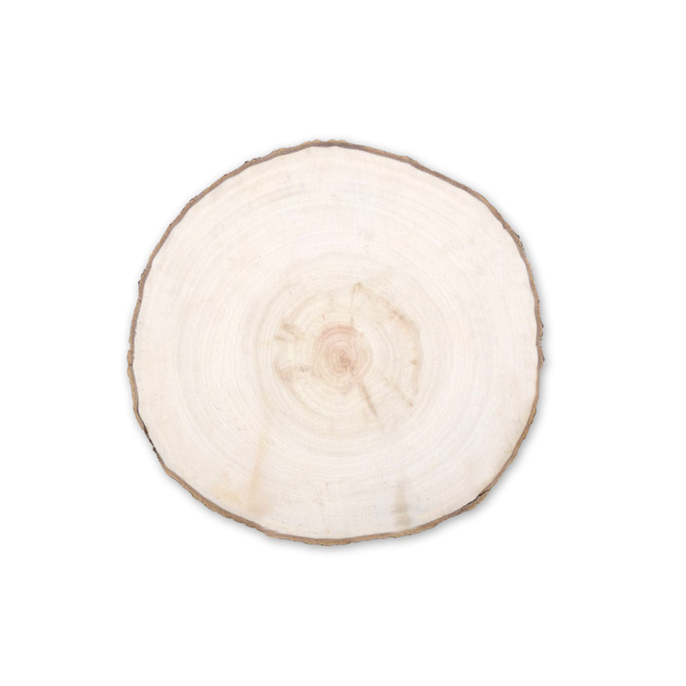Wood Craft Willow Slice