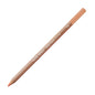 Caran d'Ache Pastel Pencils