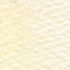 Holbein Artists' Colored Pencils - White or Yellow