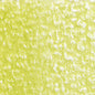 Holbein Artists' Colored Pencils - Brown or Green