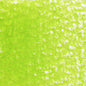 Holbein Artists' Colored Pencils - Brown or Green