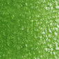 Holbein Artists' Colored Pencils - Brown or Green