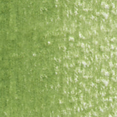 Holbein Artists' Colored Pencils - Brown or Green