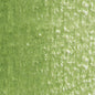 Holbein Artists' Colored Pencils - Brown or Green