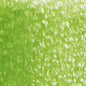 Holbein Artists' Colored Pencils - Brown or Green