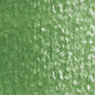 Holbein Artists' Colored Pencils - Brown or Green