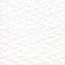 Holbein Artists' Colored Pencils - White or Yellow