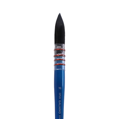 Opus Galiano Watercolour Brushes - Quill