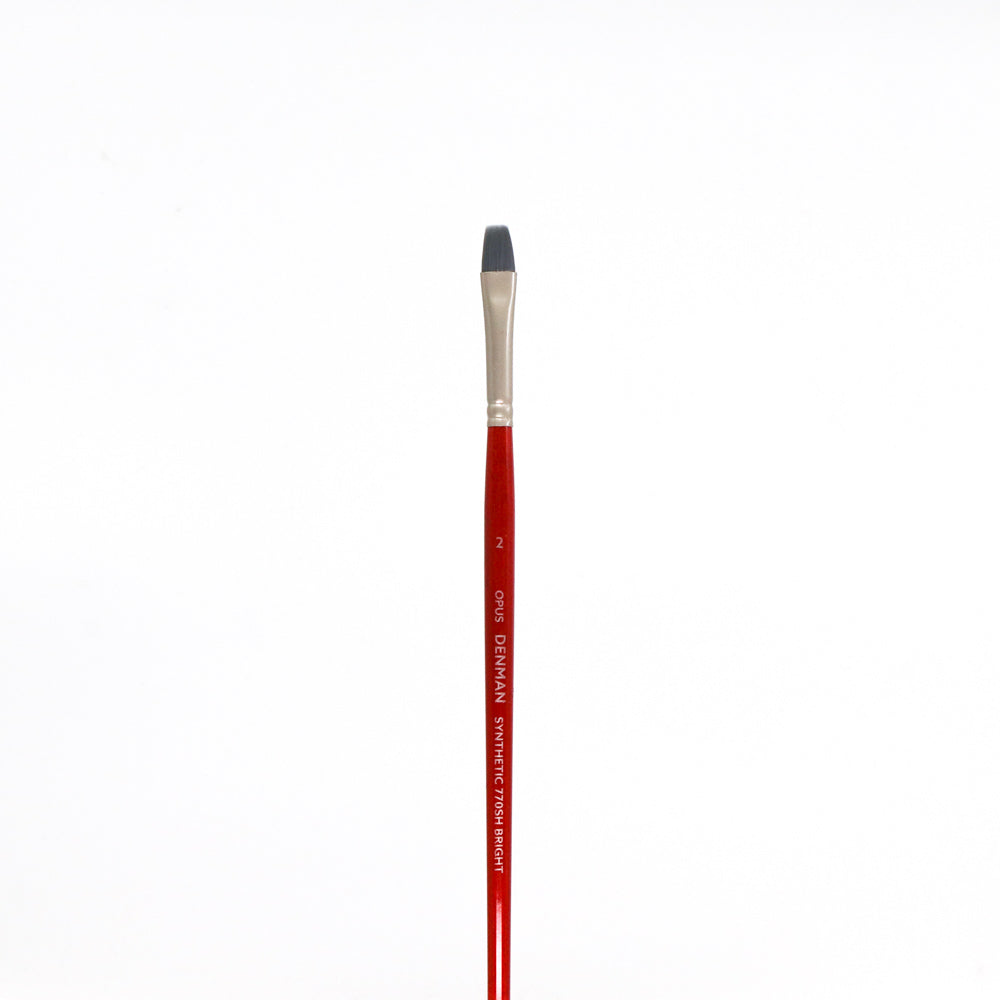 Opus Denman Short Handle Brushes