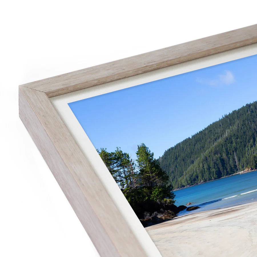 Opus West Coast Wood Frame Shells - White Birch