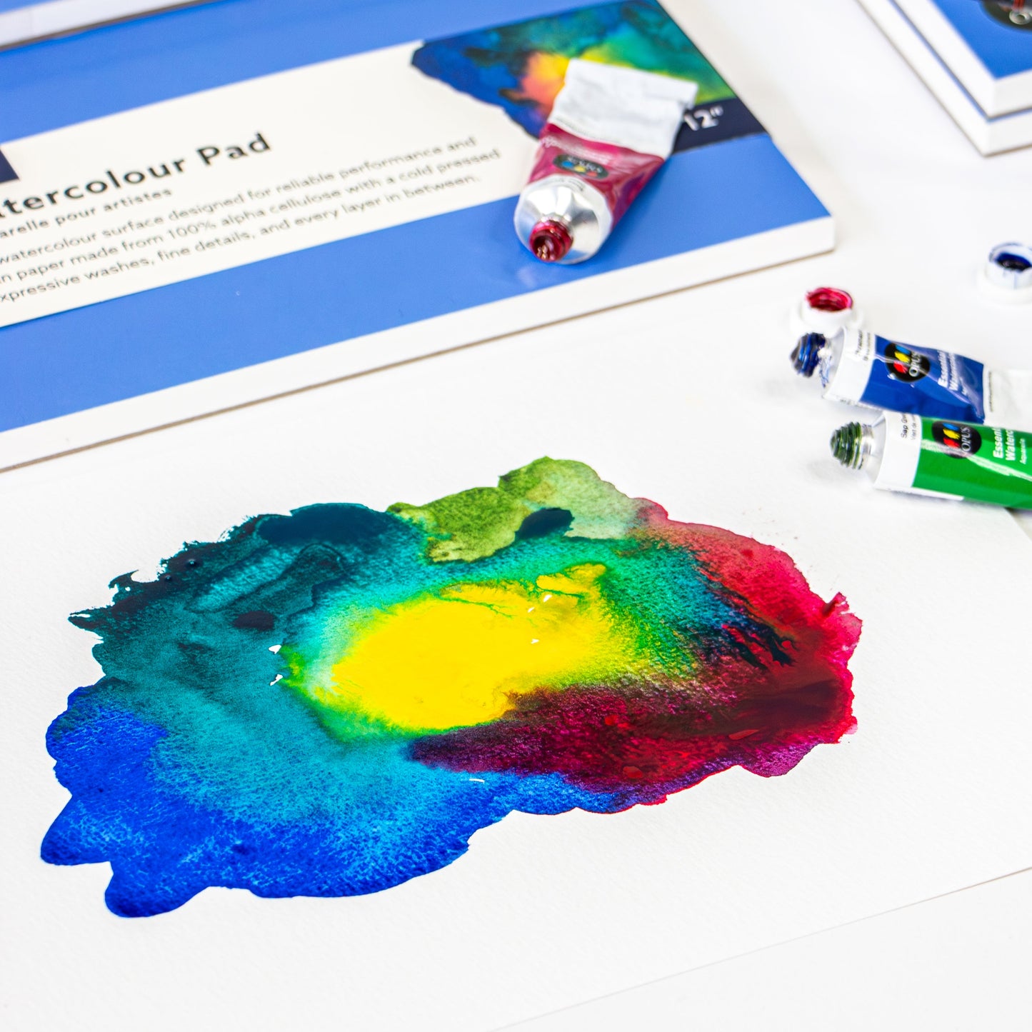 Art supplies including watercolor pads, paint tubes, and brushes on a white surface.