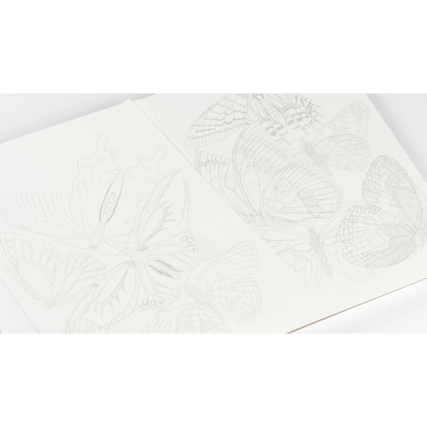 Pepin Press Artists' Colouring Book - Butterflies