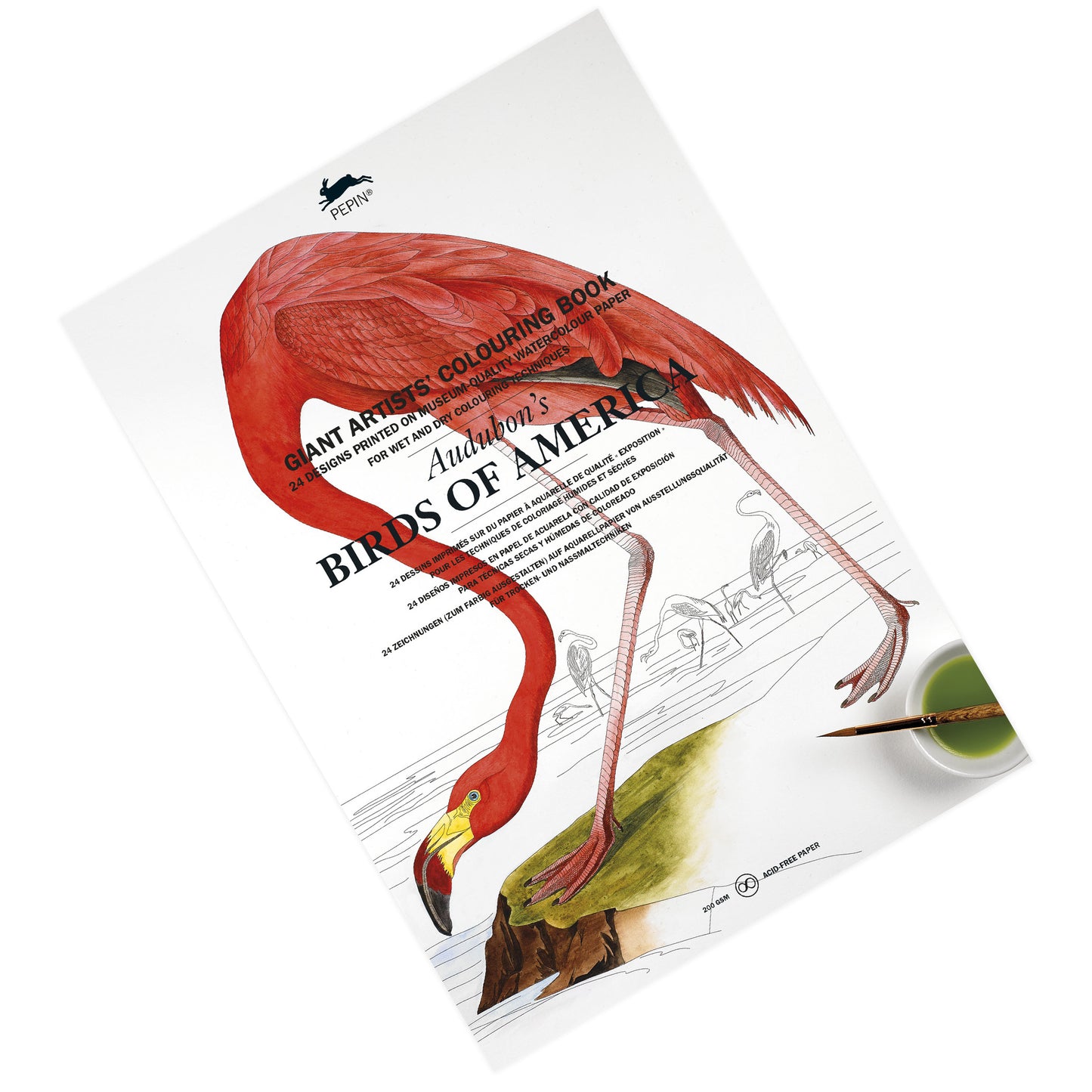 Pepin Press Giant Artists' Colouring Book - Audubon's Birds of America - Clearance