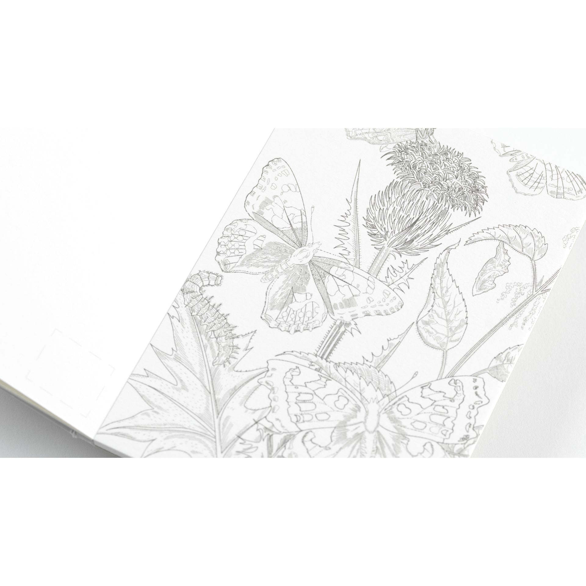 Pepin Press Watercolour Postcard Book - Natural History – Opus Art