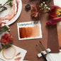 Stoneground Paint Co. Watercolour Half Pans