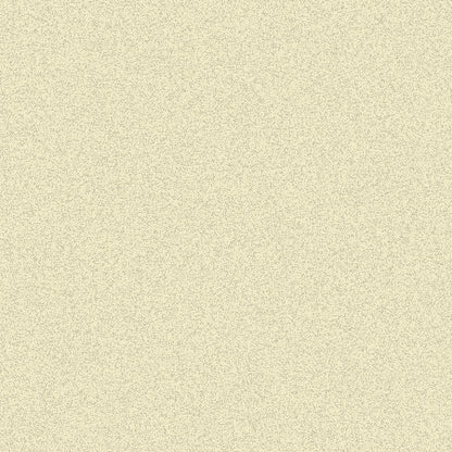 Strathmore 400 Series Artagain Recycled Paper Sheets - 19" x 25"