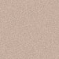 Strathmore 400 Series Artagain Recycled Paper Sheets - 19" x 25"