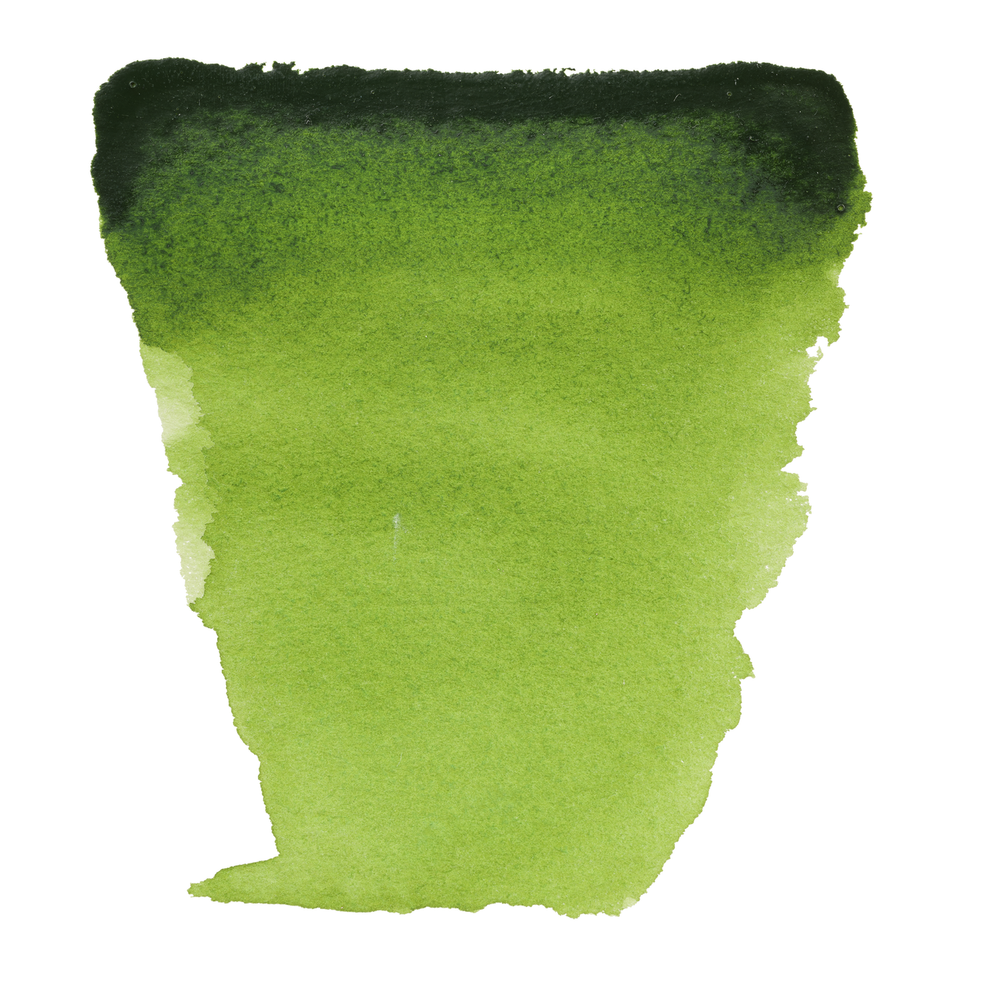 Van Gogh Watercolor Paint - Brown or Green