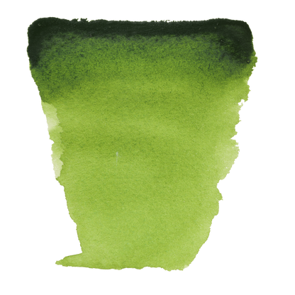 Van Gogh Watercolor Paint - Brown or Green