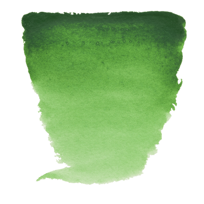 Van Gogh Watercolor Paint - Brown or Green