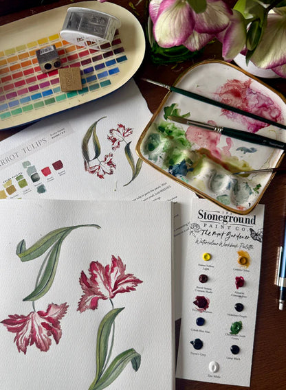 Stoneground Paint Dot Card - The Mint Gardener