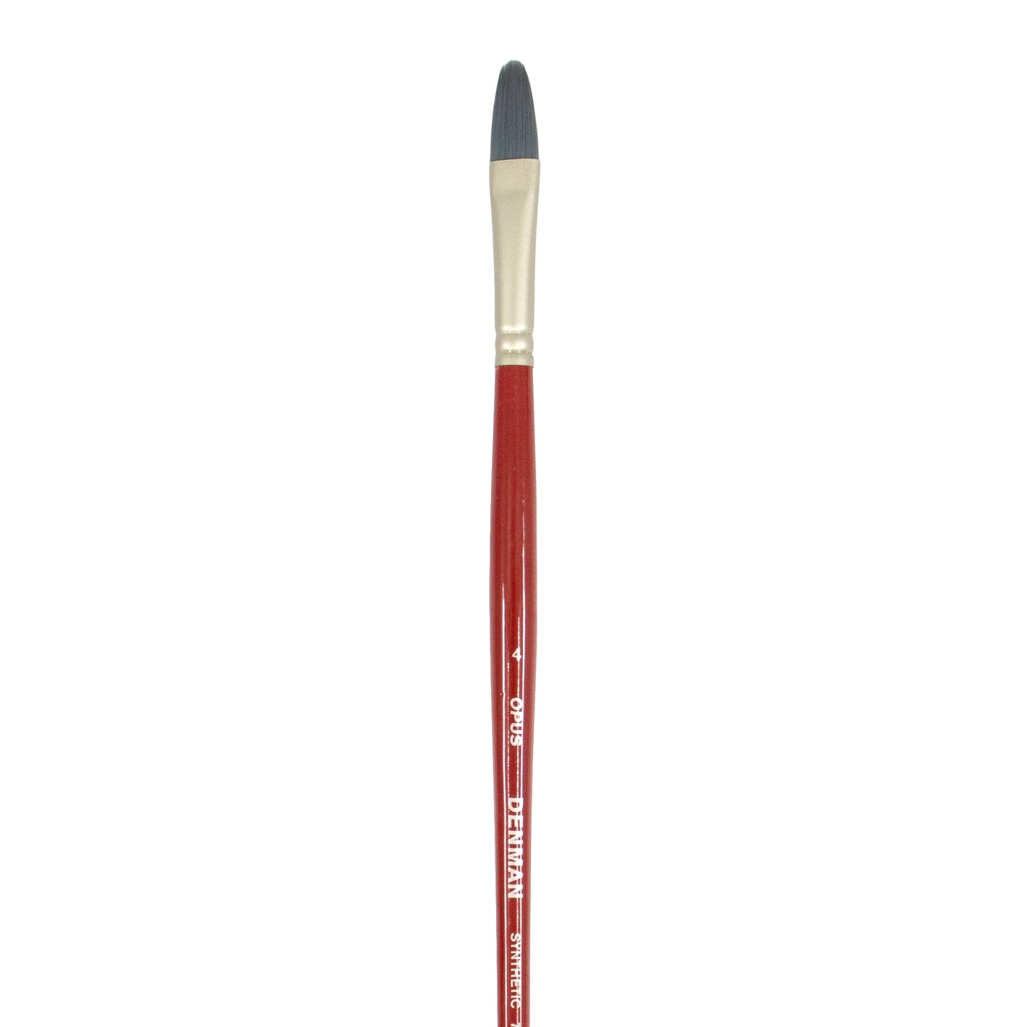Opus Denman Acrylic Brushes Long Handle - Filbert